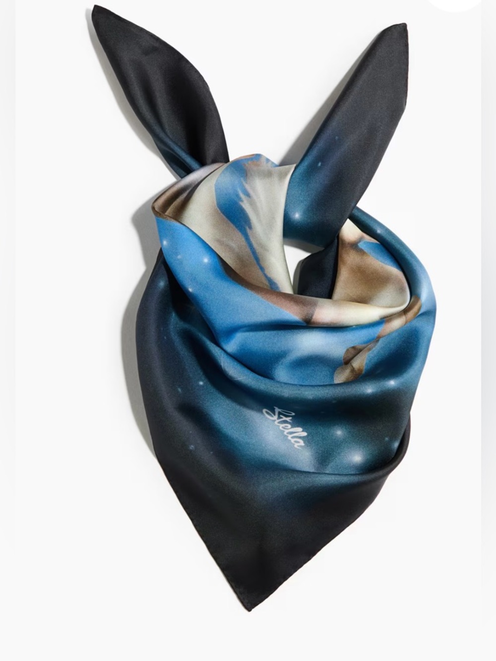 STELLA MCCARTNEY H&M
PRINTED SILK SCARF